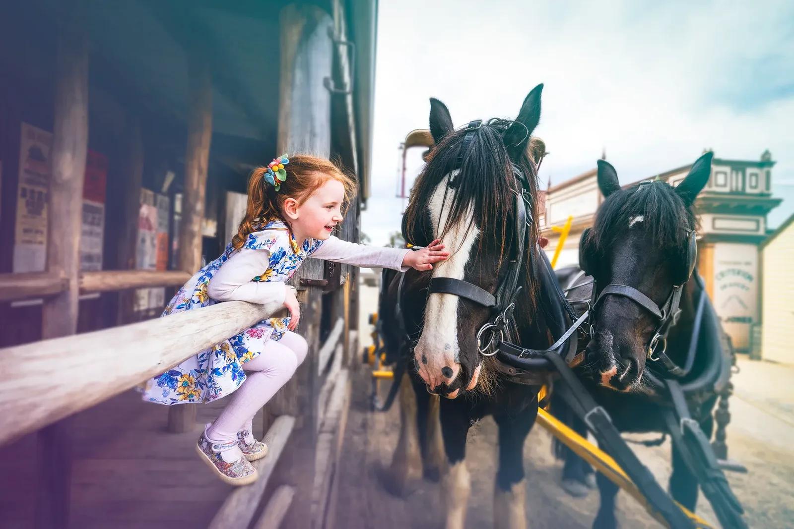 Horse and coach ride